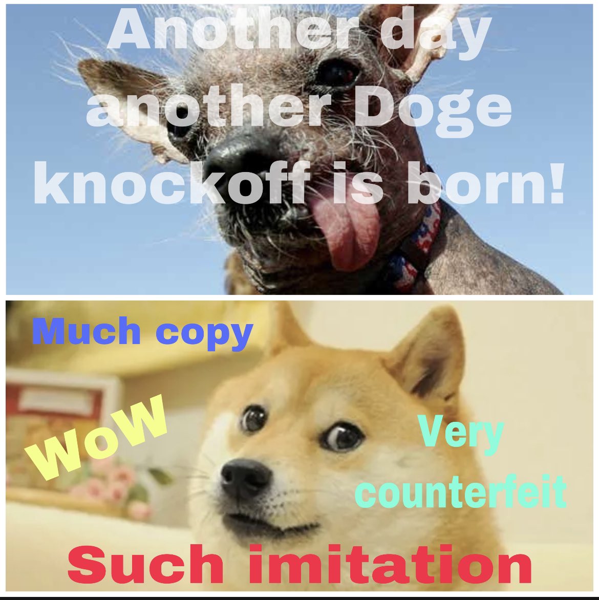 Doge Defender tweet media