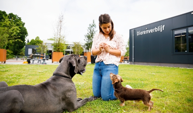 Open dag Yuverta mbo Nijmegen -  brugnijmegen.nl/nieuws/algemee…