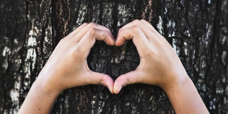#WorldKindnessDay is coming up and we want people to share their kindness to each other and to nature. Share how you are kind with us and spread love and care through actions and words #bekind #kindheart #bekindtonature