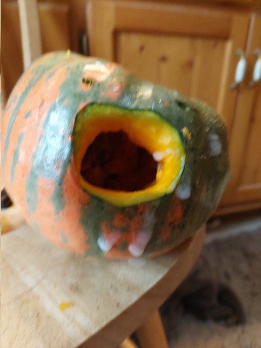 1 pic. After https://t.co/zmXPbZj4rX https://t.co/WxX0ToDesK