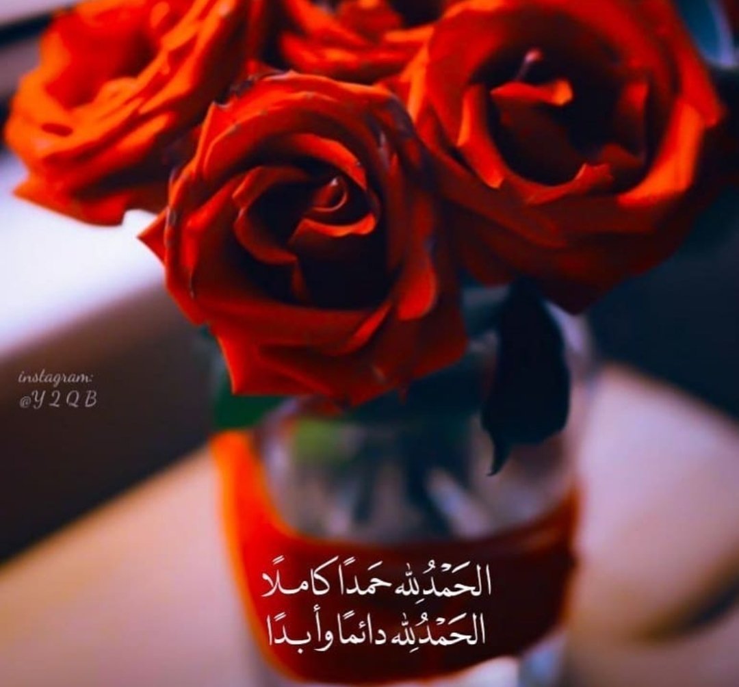Allah_rabee1's tweet photo. كم في يومـك حمدتِ الله سبحانه!
والحمدلله تملأ الميزان فيالهنائك 💛🌸 https://t.co/ScqXseYjYY