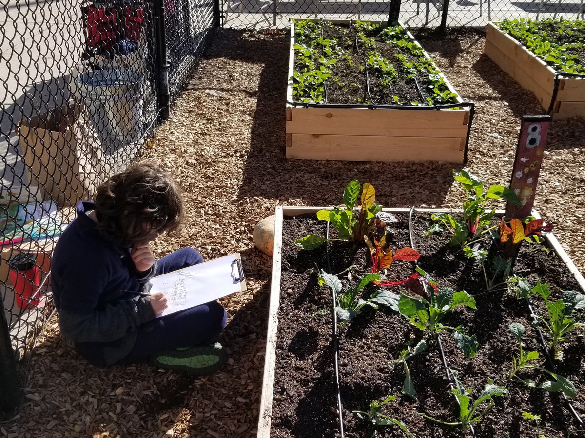 CathyMoessner's tweet photo. Great day for scientific drawings in the @powellelem garden with @FoodPrintsDC https://t.co/9zr9WsuWNG