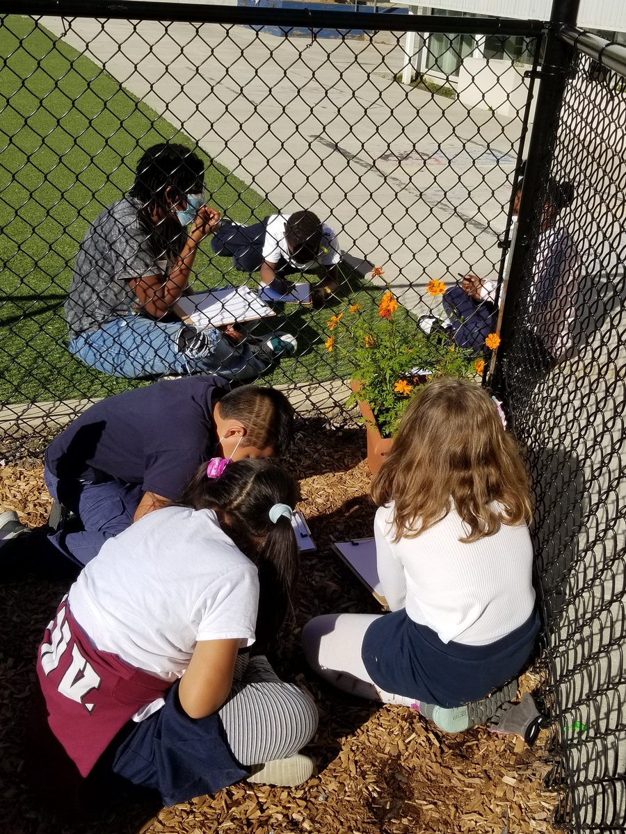 CathyMoessner's tweet photo. Great day for scientific drawings in the @powellelem garden with @FoodPrintsDC https://t.co/9zr9WsuWNG