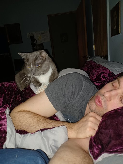 Mr Toby wakes me for foods lol https://t.co/nyuVgNSWhP