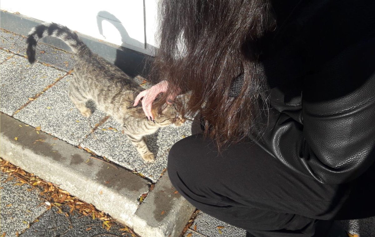 __Manolya___'s tweet photo. Keşke benim olsan ama maalesef seni eve götürürsem annem ikimizi de evden atar 😿😿 https://t.co/uuX5Wo9PY0