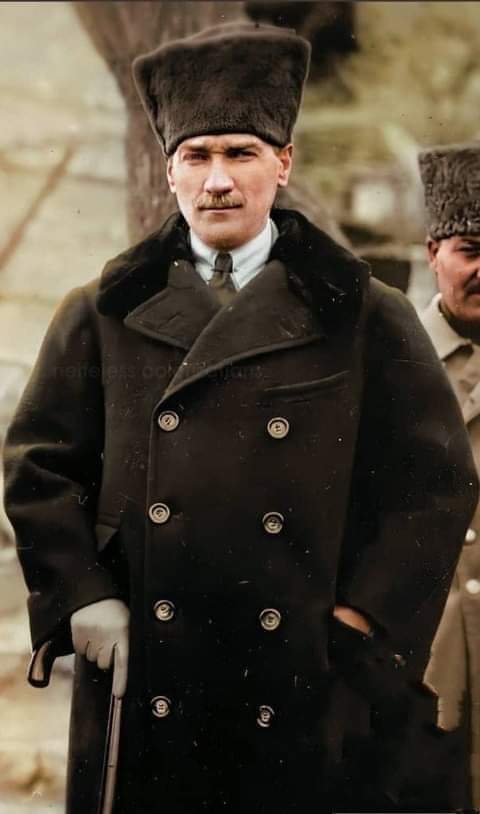 buttercup💚 tweet media