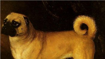 LynnBry29527024's tweet photo. OMG I have just found the story of Juana Smith acquiring a pug after the battle of Vitoria. Now I have three dogs to keep an eye on through the rest of the war. This is exhausting. #PeninsularWarSaga #WithDogs https://t.co/EKKpLiCeix