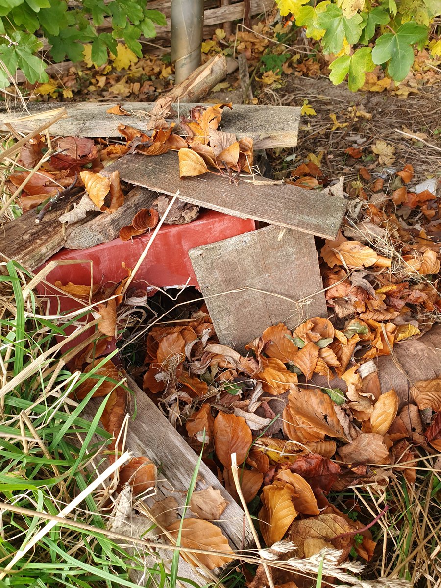 A new home for any hedgehog looking for a place to stay. #hedgehogs #outdoorfun #outdooreducation