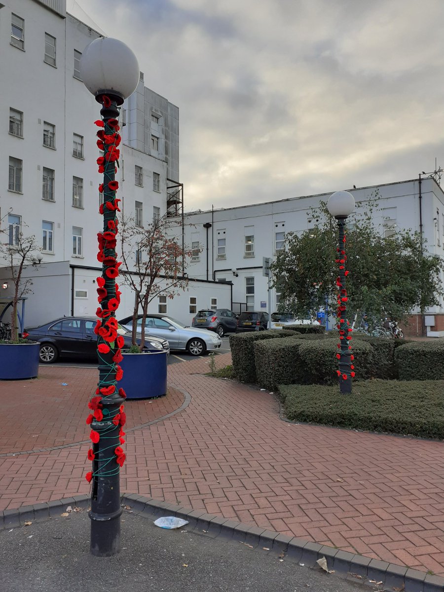 ESTHMark's tweet photo. When work asked for people who could knit, I knew my mum was gonna be the woman for the job ! @epsom_sthelier wanted to set up some poppy displays in support for the military community by showing our commitment to current &amp; prospective staff, as well as our patients &amp; carers ! ❤️ https://t.co/HDHLye7PXI