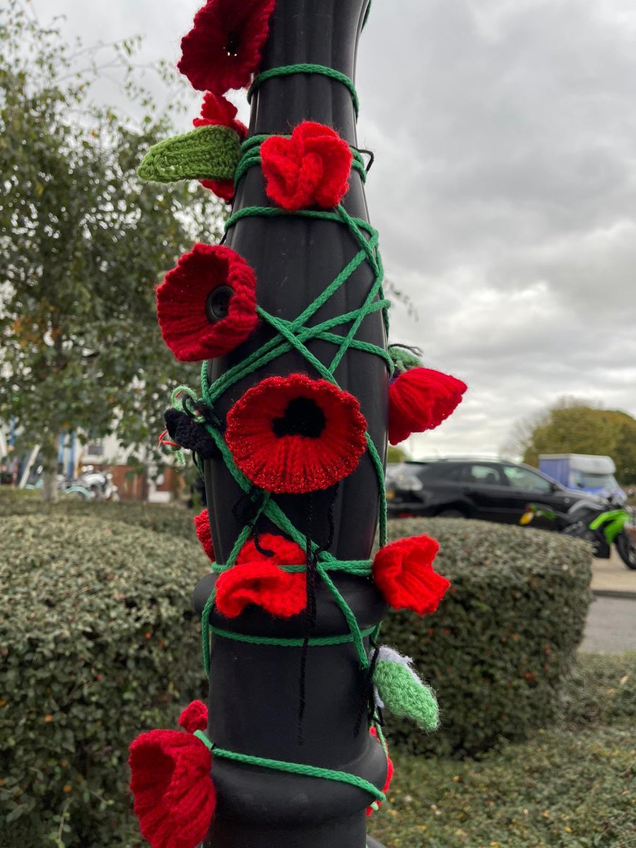 ESTHMark's tweet photo. When work asked for people who could knit, I knew my mum was gonna be the woman for the job ! @epsom_sthelier wanted to set up some poppy displays in support for the military community by showing our commitment to current &amp; prospective staff, as well as our patients &amp; carers ! ❤️ https://t.co/HDHLye7PXI