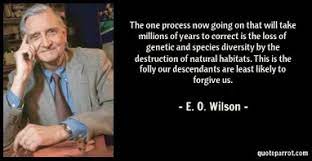 rickygervais's tweet photo. As twitter descends more and more into a nasty cesspool of negativity, vitriol, and tribalism, I think we should try to say one nice thing per day about someone. I'll start. I love Edward O. Wilson. He is a brilliant scientist and has a nice face. https://t.co/xFIAB4e1mS