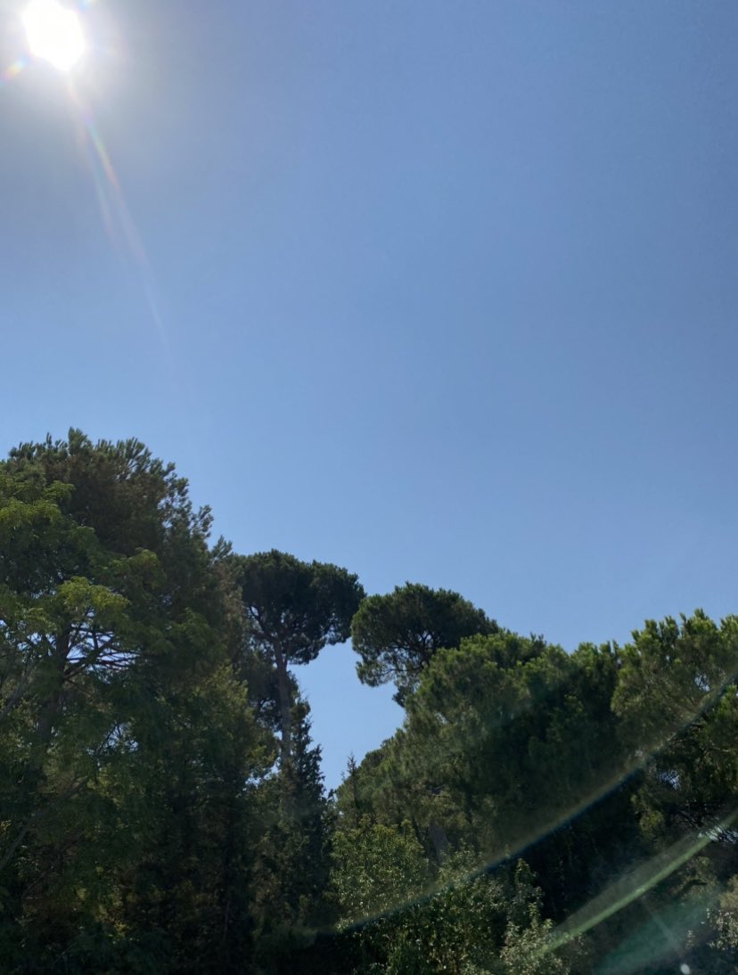 الصداقة جبل شاهق، لا يتسلقه إلا الأوفياء.