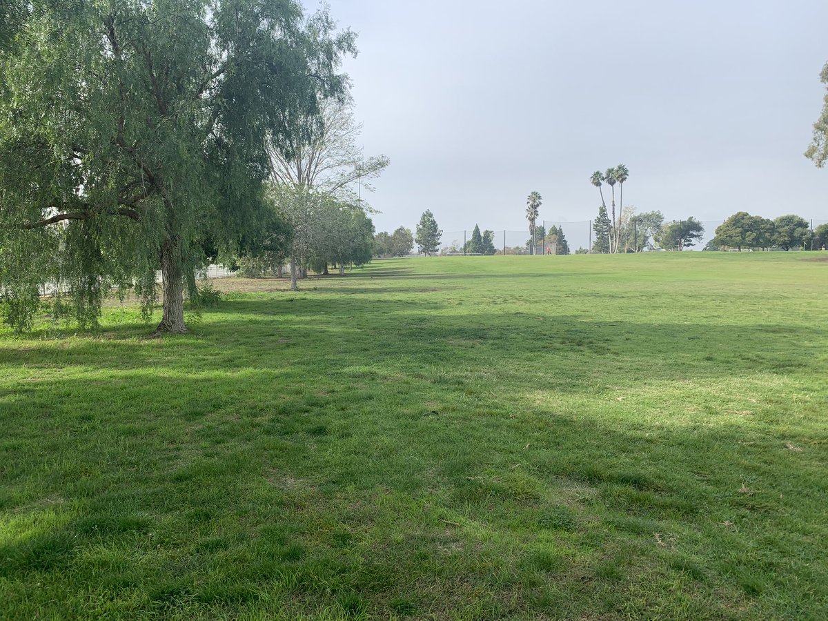 SRGCMVentura's tweet photo. Seeing results and happy with the progress but We still have a long way to go! #Est1921 #SRGC https://t.co/fwvhGwL2XX