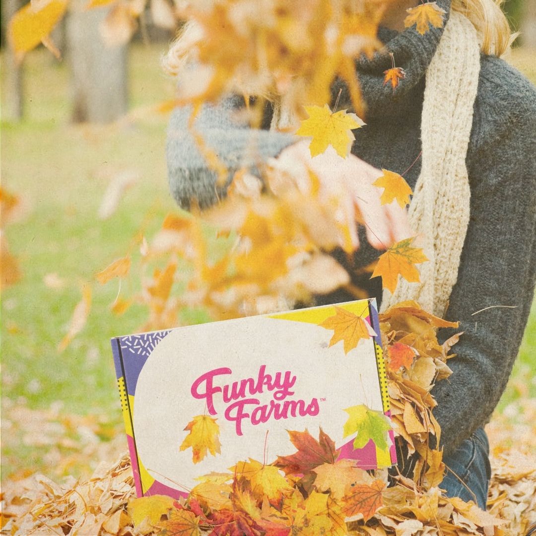 Fall is for change… so we changed it up! 
🍂 New Box 🍂
🍂 New Stuff 🍂
🍂 New FUNK 🍂
Get Your November Mystery Box Today!!
.
#funky #mystery #surprise #whatsinthebox #whatthefunk #timetogetfunky #downtofunk #funkyou #cbdlife #hemp