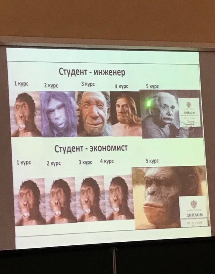 StatusTiger_eth's tweet image. Когда мне грустно, я смотрю на эту картинку и вспоминаю, что я все-таки экономист.