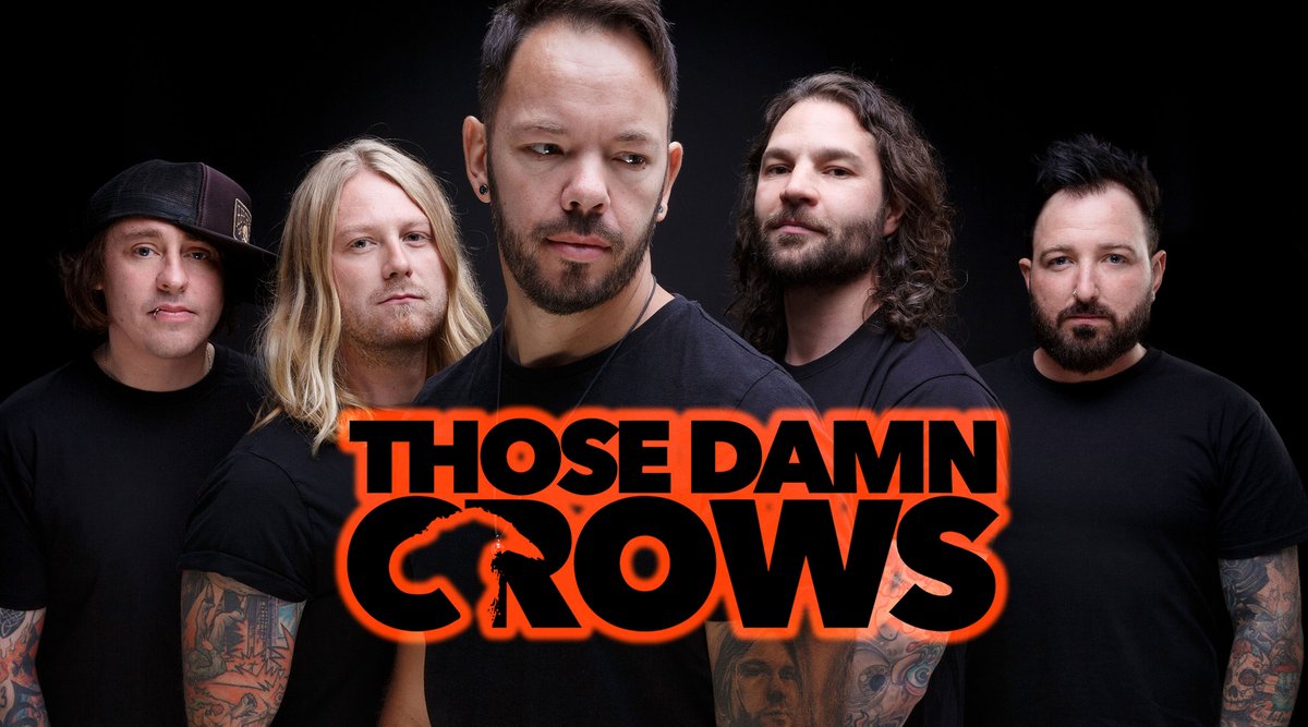 Those damn crows. Those damn crows. Those damn crows группа. Those damn crows i am перевод. Suffokate return.