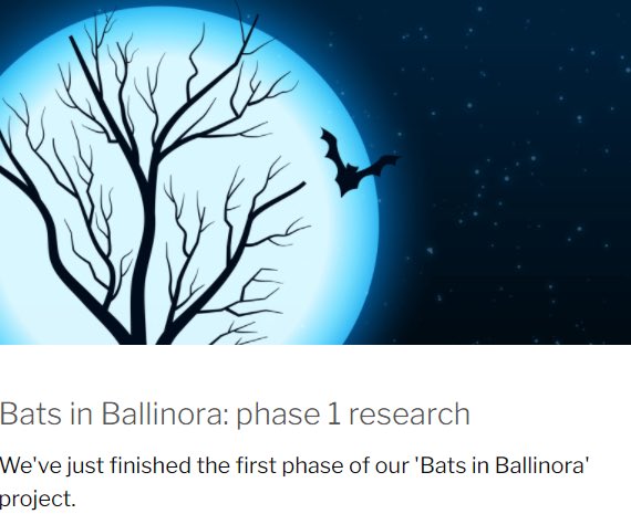 BallinoraComm's tweet photo. Phase 1 of Bats in Ballinora has concluded. Read more here: 

https://t.co/jUMluPoWFH https://t.co/kOWIDZM79E