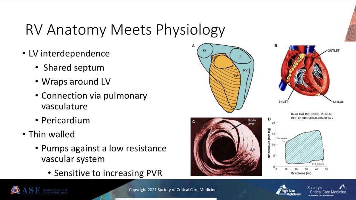 I am VERY excited for @NikraDoc’s talk on the RV aka #thepeoplesventricle! @SCCM @ASE360 #POCUS #Echofirst