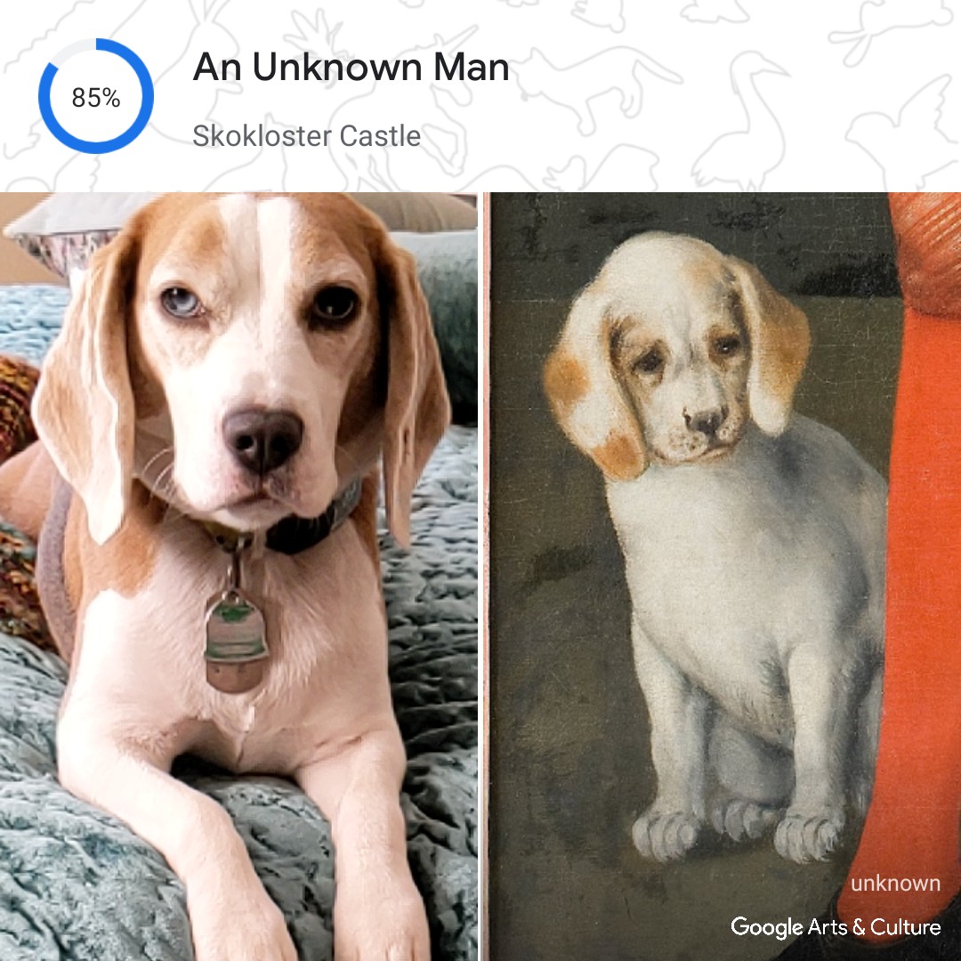 Google's tweet photo. ✨ Very im-paw-tant instructions ✨

1. Download the @googlearts app. 
2. Head to Pet Portraits, our newest feature.
3. Discover your pet’s doppelgänger(s) in works of art. 
4. Share the best matches below ⬇️

Learn more: https://t.co/WCOcqZbKmi https://t.co/ZsENqJUMgD