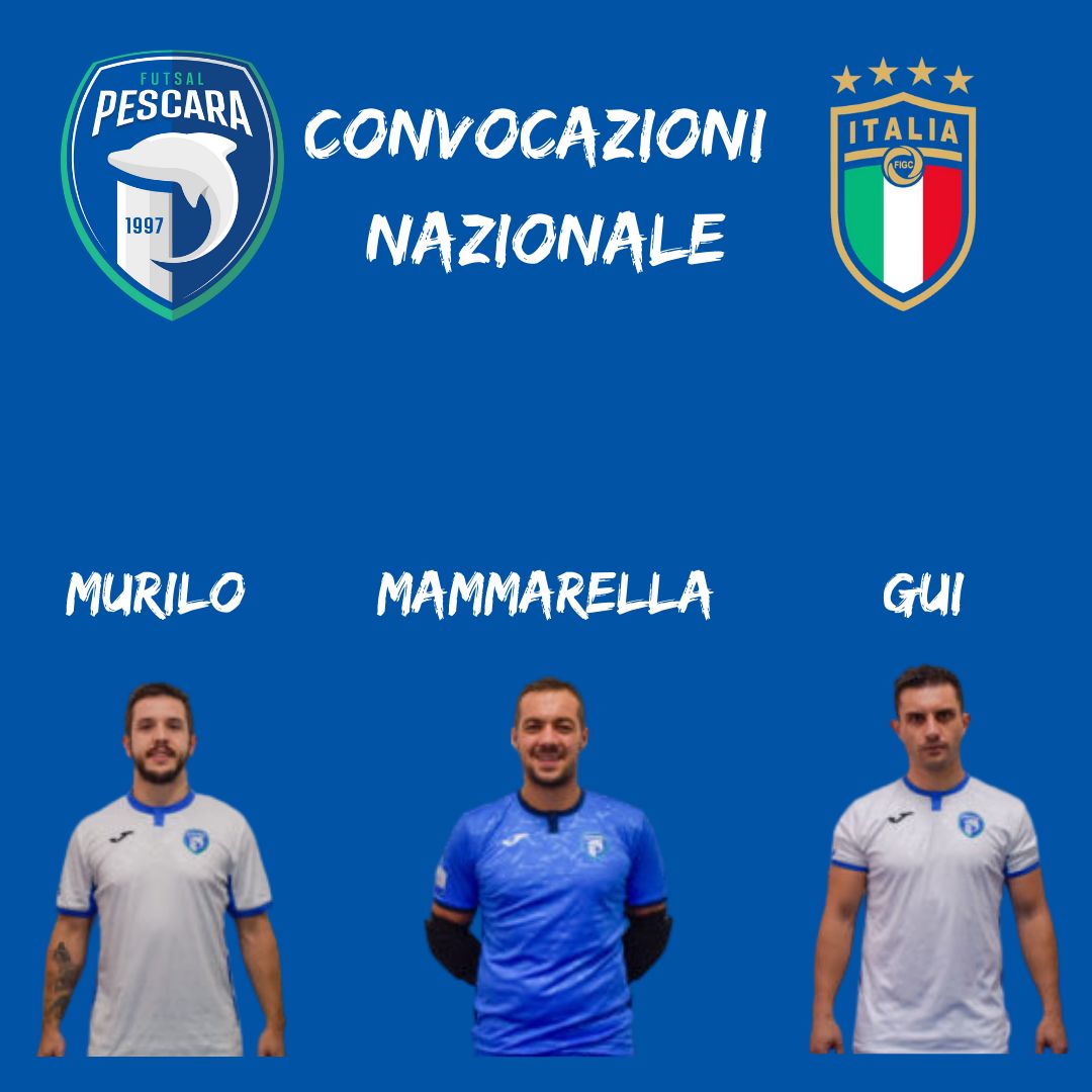 Futsal Pescara 1997 tweet media