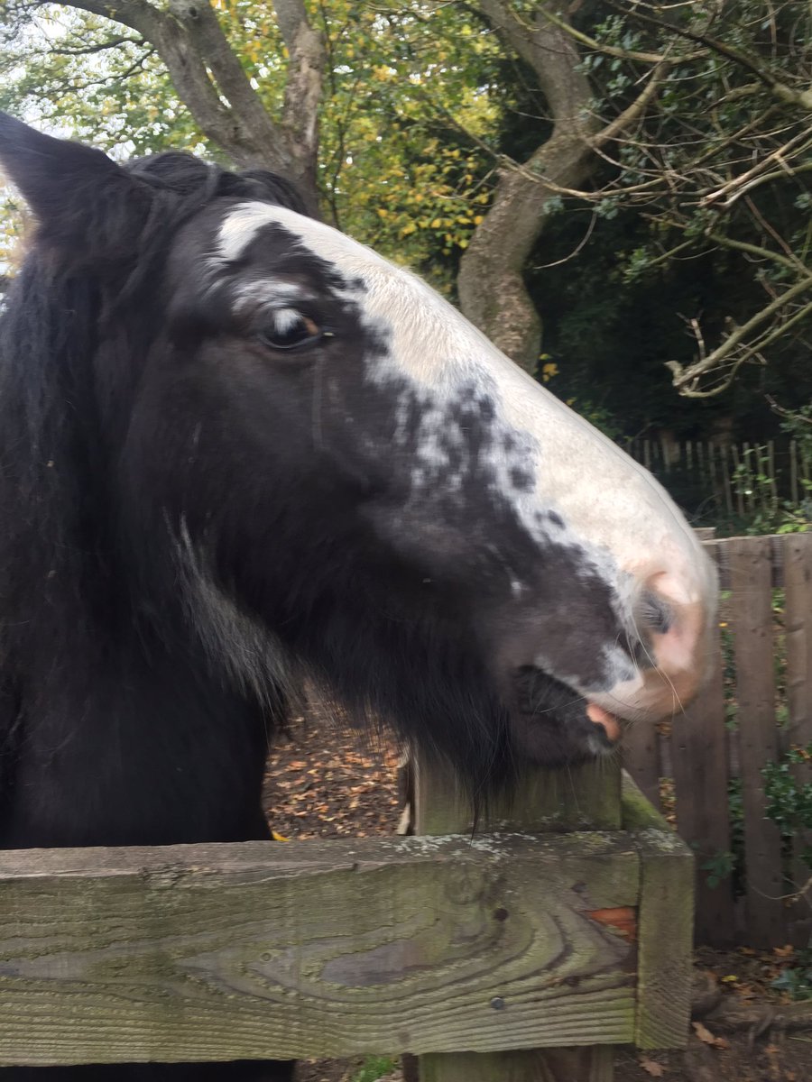 kayecunliffe's tweet photo. @DerbyOT we met some unexpected friends in group work skills today. thanks to all that took part 😊 https://t.co/Hb9ncPdpXw