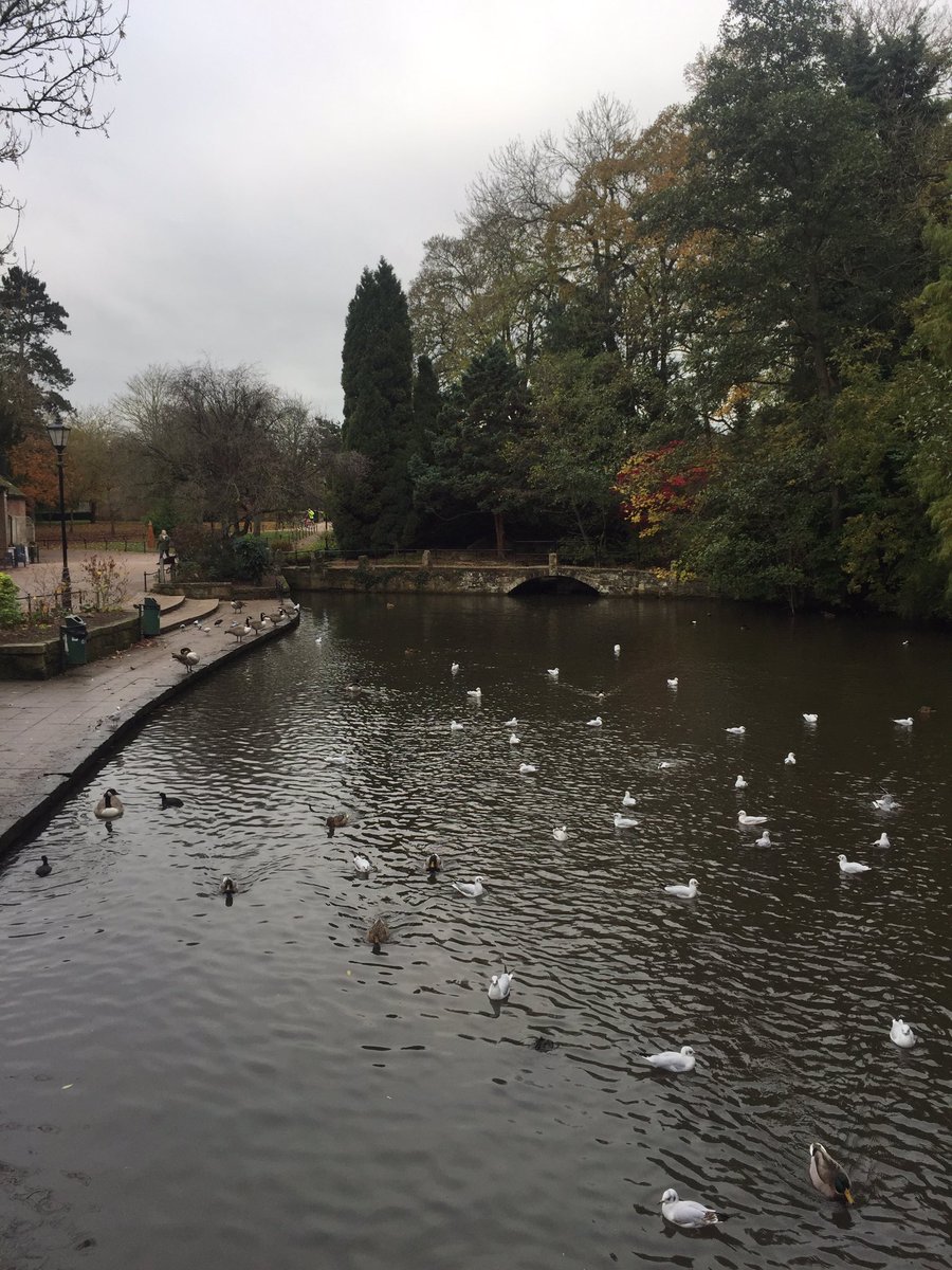 kayecunliffe's tweet photo. @DerbyOT we met some unexpected friends in group work skills today. thanks to all that took part 😊 https://t.co/Hb9ncPdpXw