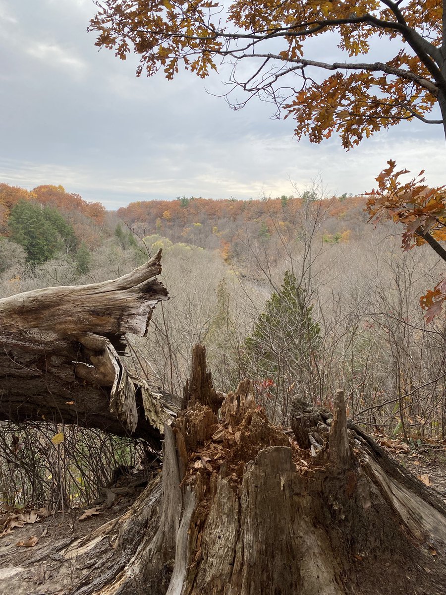 Bronte Creek PP tweet media