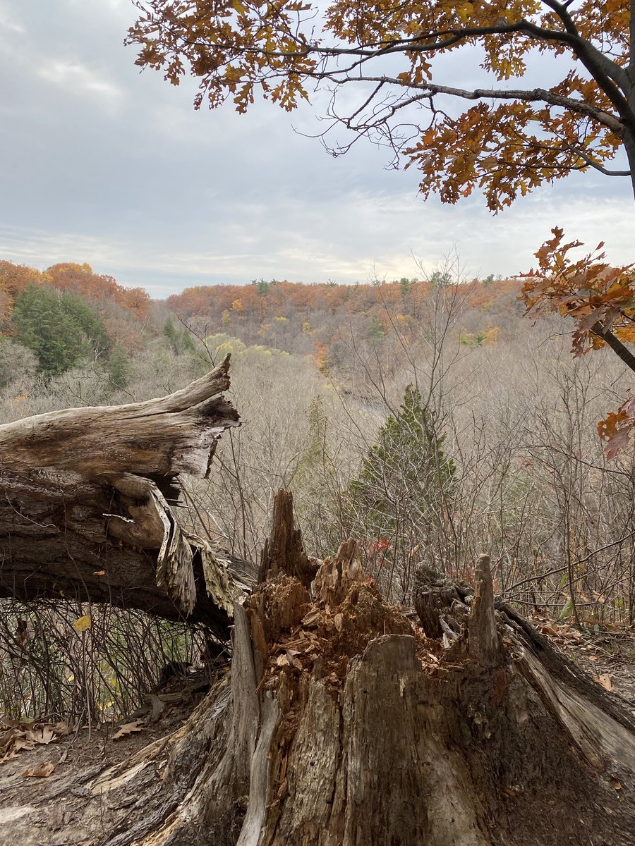 Remember, not all days need to be sunny. #fallmood #fortheloveofparks