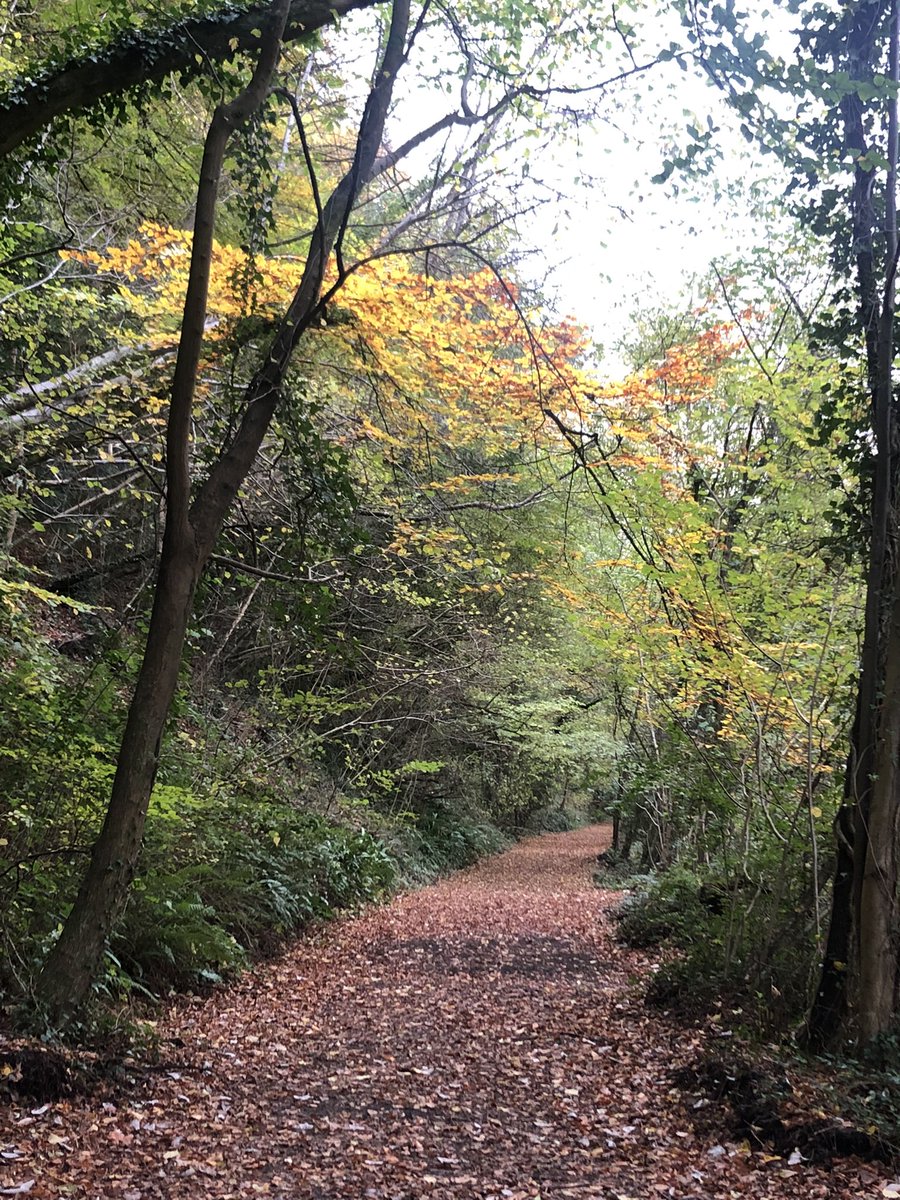 Enjoying the autumnal colours on our short break in #southwales #tintern #DevilsPulpit #OffasDyke #Autumn #WyeValley @StormHour @ThePhotoHour @EnglishHeritage