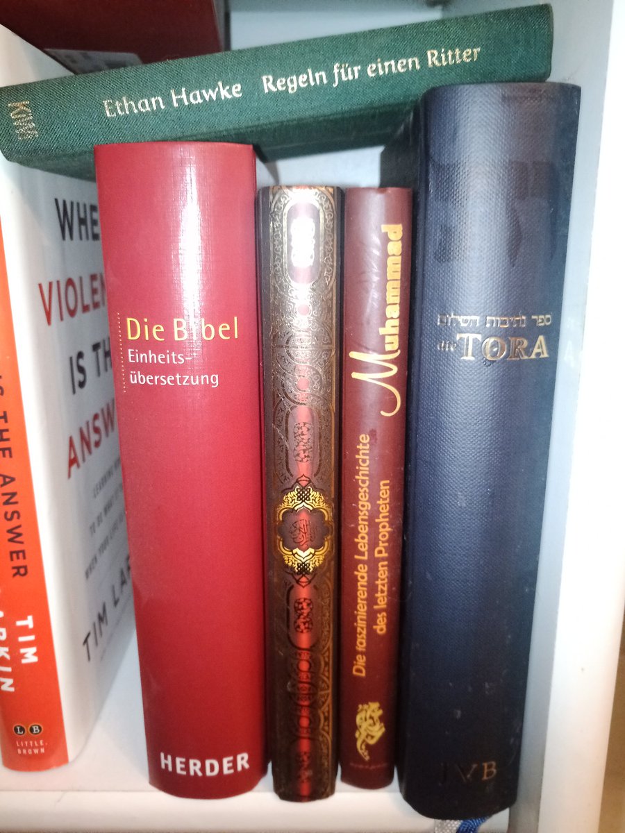 e_alberich's tweet photo. Religiöse Fanatiker weltweit: es gibt nur einen Gott, nur dieser Glaube ist der richtige...
Mein Bücherregal: Hold my beer. https://t.co/kvAs6oxAF3