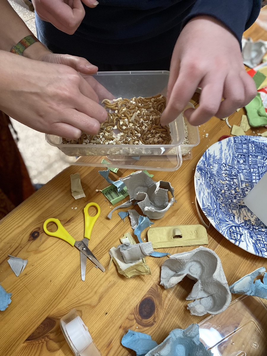 organiccentreie's tweet photo. What a day at the Organic Centre where schools from the NW joined us for #PrimaryScienceDay part #sligosciencefestival @itsligo From getting out @NatureLearn1 to creating bug farms & getting up close & personal with mealworms @eurekaedinburgh to engineering toys @firetheinventor https://t.co/ewggm51I7O