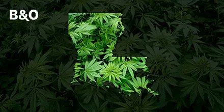 bloomandoil's tweet photo. #NationalLouisianaDay ⚜️ In August 2021, the #BayouState #decriminalized #cannabis possession - eliminating the possibility of jail time for low-level #marijuana possession offenses 🌱 Learn more about #legalization in all 50 states at Bloom&Oil: https://t.co/t0XxOqkDR8 https://t.co/CUOtRc1NfI