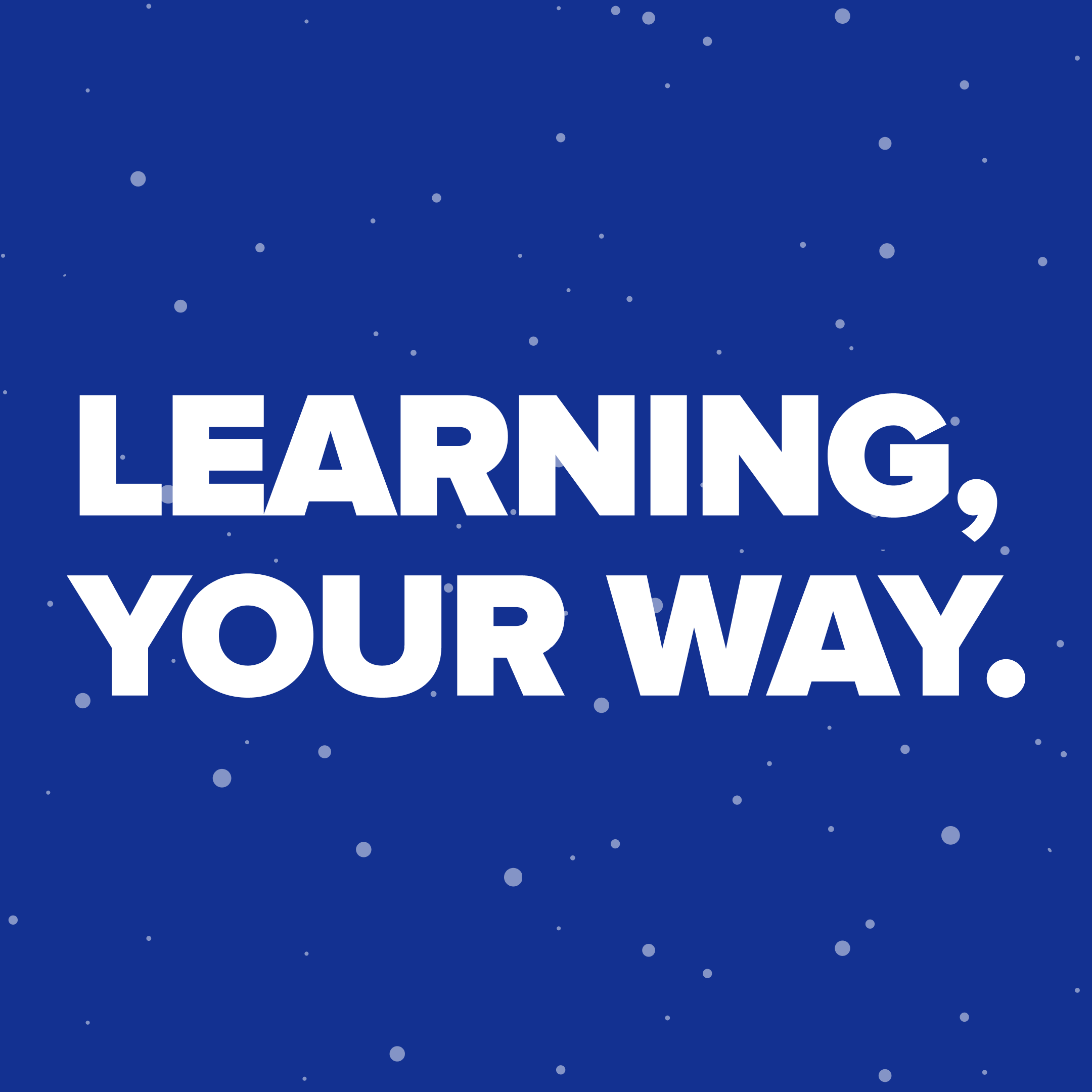 Brainly Brainly Twitter