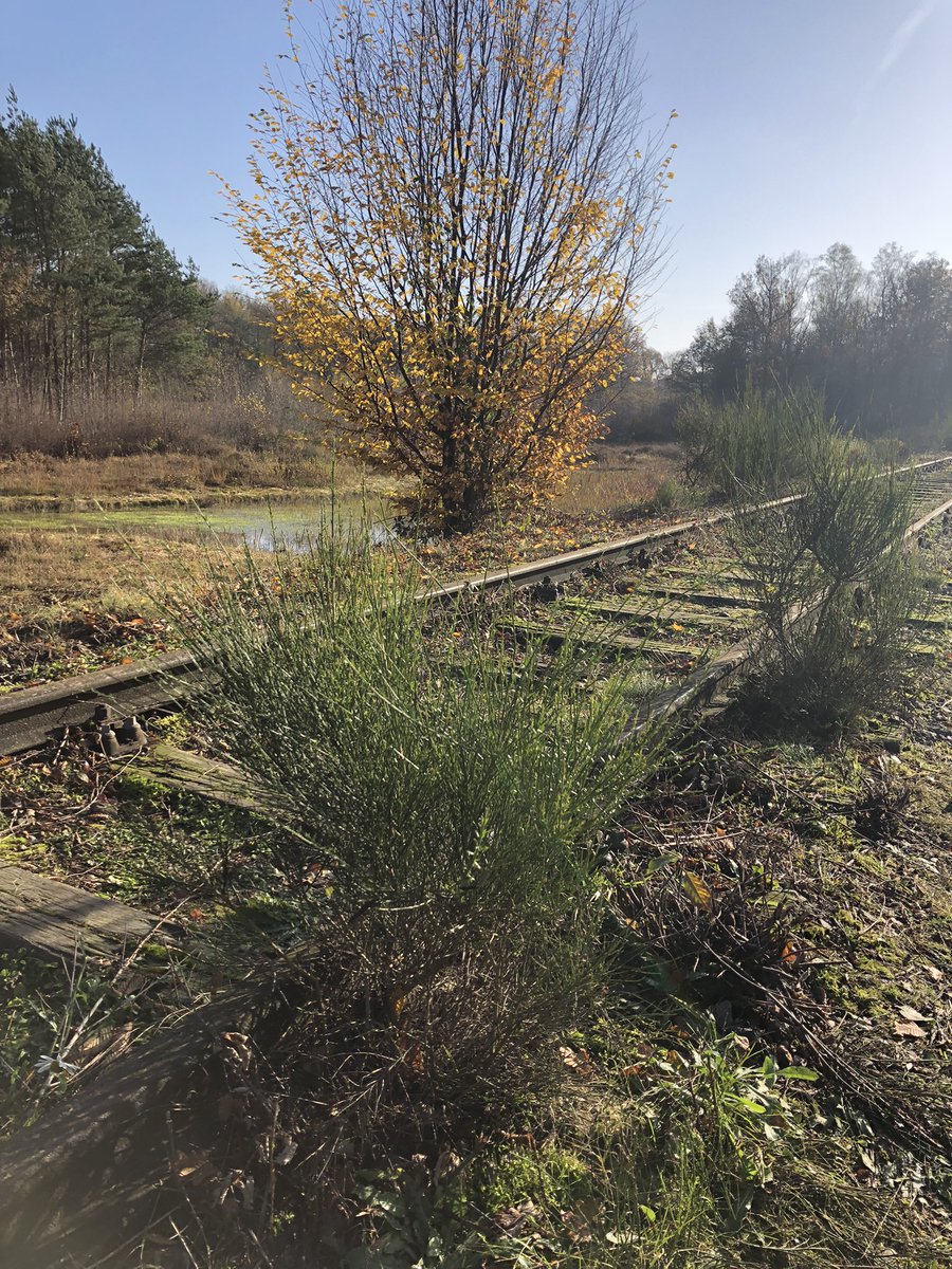 Wat heb ik een bijzondere mooie dag mogen beleven als ambassadeur van het Achterhoekse landschap. 
Samen met een aantal ondernemers gingen we de #Achterhoek 💚 rond. De afwisseling, de historie en het ontstaan van…na vandaag ben ik nog verliefder!! Wat ben ik een dankbaar mens!