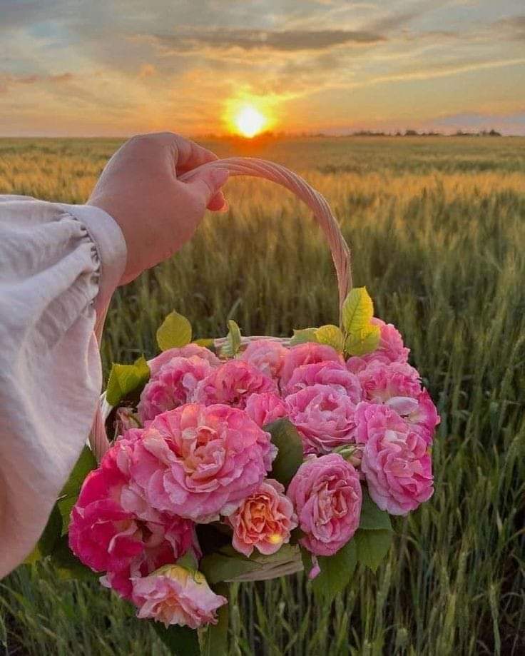 MSambey's tweet photo. @silureman07 Pour toi ! https://t.co/szf1l1qaNn