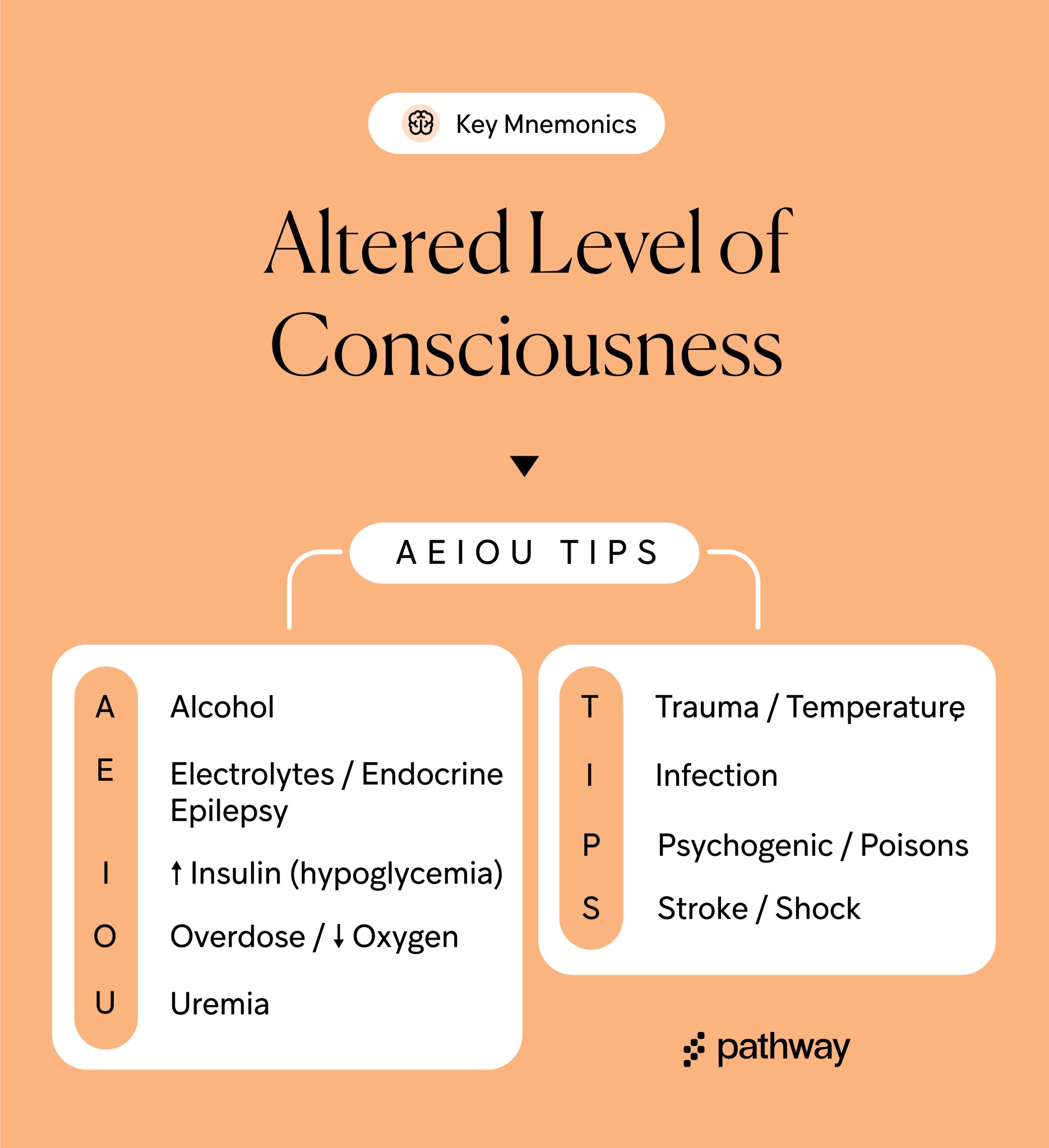 Pathway on X: "🧠Altered Level of Consciousness: Causes #Mnemonics  #Neurology 📍Memorize: A E I O U T I P S Alcohol Electrolytes / Endocrine /  Epilepsy Insulin (hypoglycemia) Overdose / Oxygen Uremia