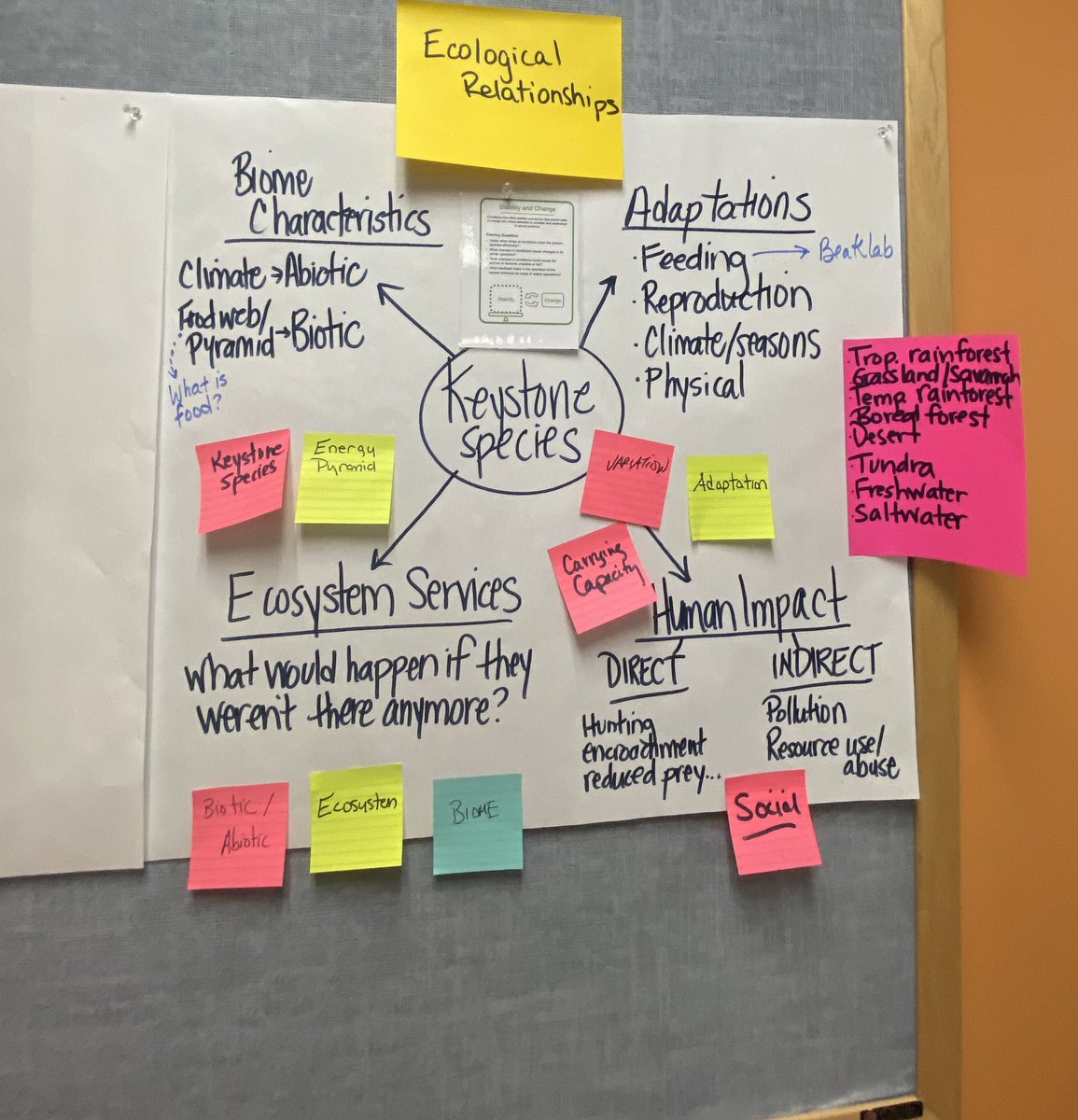 JustOlive_Ed's tweet photo. Today’s Science PD focused on Phenomena Driven Unit Design utilized our new collaboration space to it’s fullest with no surface left untouched! Anchoring phenomena ✅ investigative phenomena ✅ formative assessments ✅ unit tests ❌#WeAreChappaqua #ChappScience #NGSS #NYSSLS https://t.co/KZT8RNkCCN