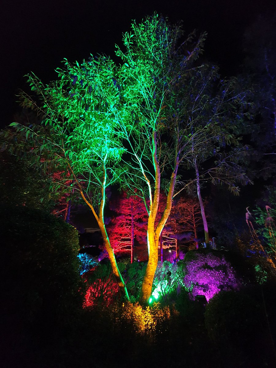 Looking good <a href="/RHSHydeHall/">RHS Garden Hyde Hall</a>! #Glow #NoFilter Lovely way to start building some festive spirit 🥰