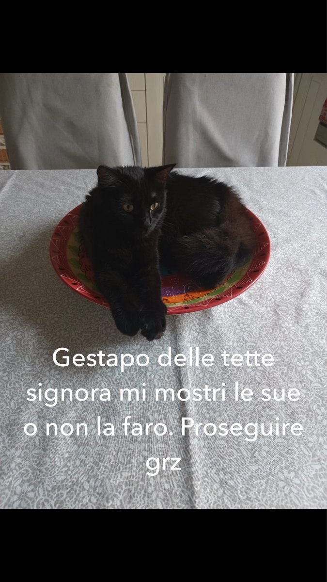 Gianluca Di Cazzo tweet media