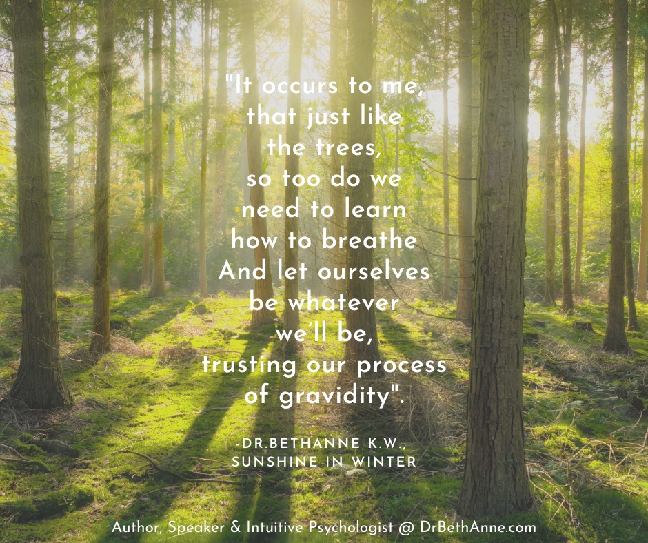 DrBethAnneKW's tweet photo. Be like the trees. 🌳💚🍃
✨
.
.
✨
.
.
#DrBethAnneKW #SunshineInWinter #Breathe #HSP #EmpoweredEmpath https://t.co/J0rrAWToDi