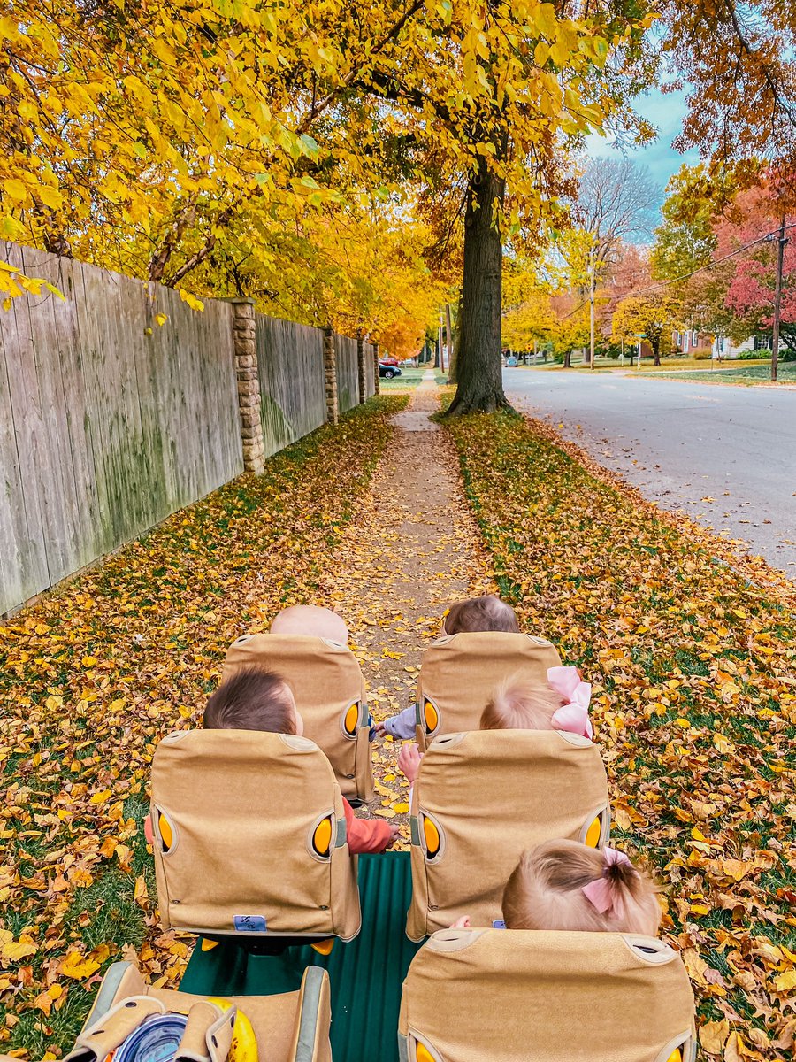 Emily Wieland tweet media