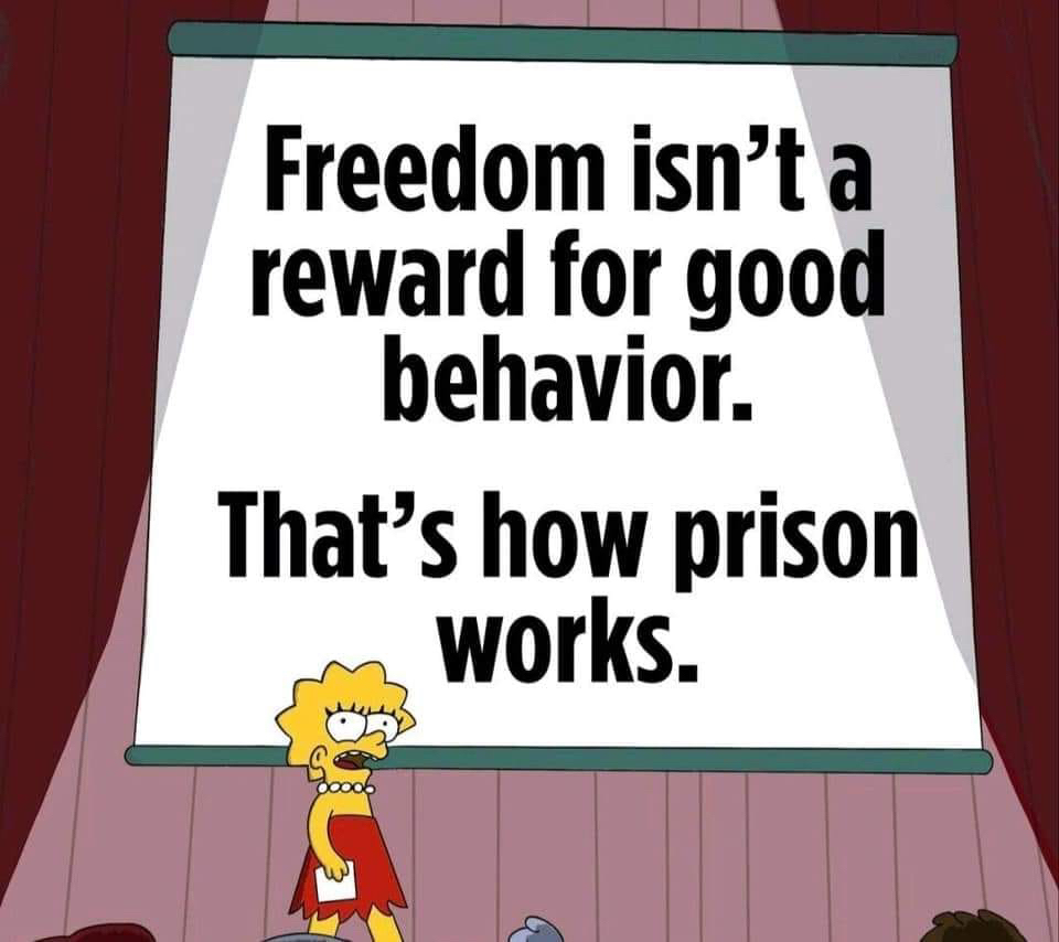 MRobertsQLD's tweet photo. Freedoms aren’t governments plaything to hand out as they please.

You’re meant to have them by default. https://t.co/xHpeac4Ijd