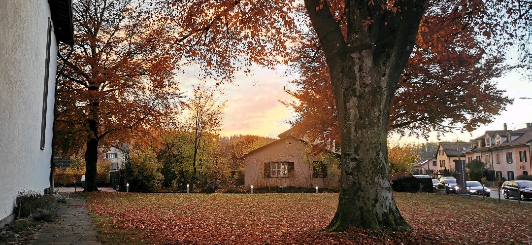 haustierkrippe's tweet photo. I'm at Winterthur in ZH w/ @barbara26067016 https://t.co/gXZ5ltJrxU https://t.co/eDDQCboyYf