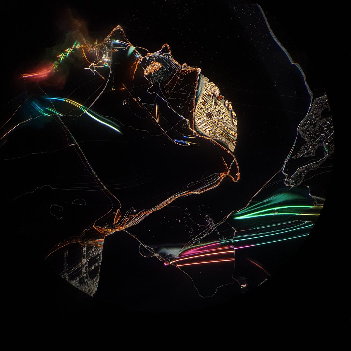 __LucasM__'s tweet photo. I do enjoy my job when I get to see images like this under an optical microscope 🔬. This is in fact perovskite crystal growth, but it could well be mistaken for a blinged up deep sea creature. #Science #materials  @Cambridge_Uni @AliceDearle https://t.co/YpcOTLTCFG