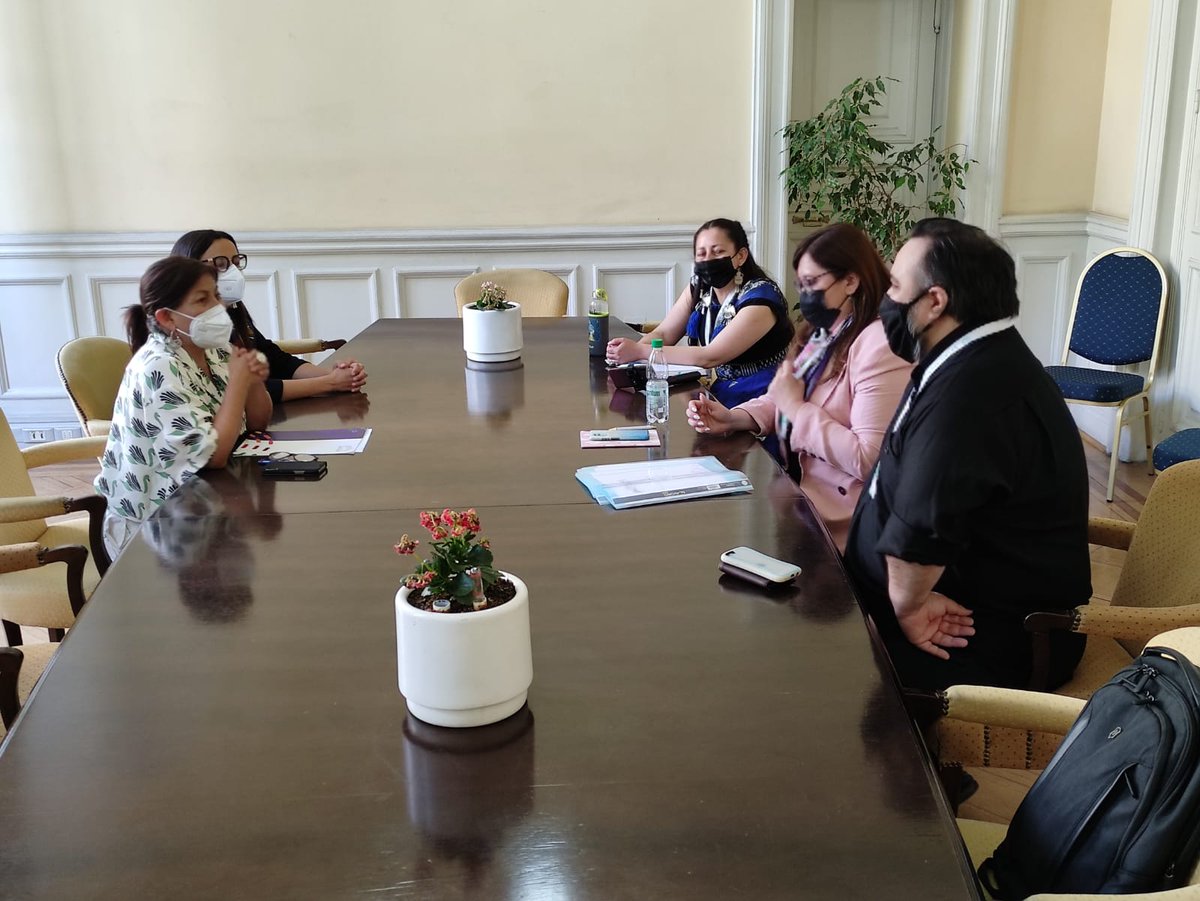 Este informe es producto del trabajo de meses realizado por un equipo de lingüistas, quienes han buscado dar cuenta que es posible desarrollar políticas públicas en torno a los derechos lingüísticos