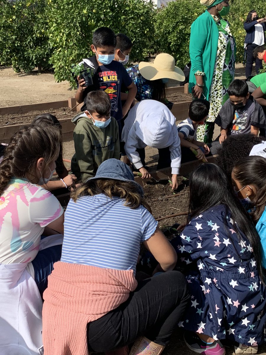 NormaJTorres's tweet photo. I had a great start to my day visiting Kelley Elementary’s Garden. Thank you for teaching the students at Kelley Elementary how to grow fresh fruits and vegetables. https://t.co/q8D5ZAv1zc