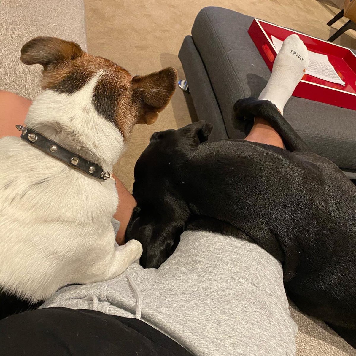 GerardNativel's tweet image. Je vous adores mais beau bébé