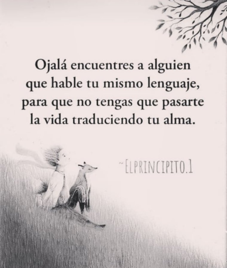 Florvsflor's tweet photo. Ojalá... https://t.co/f1Fx63Lko8