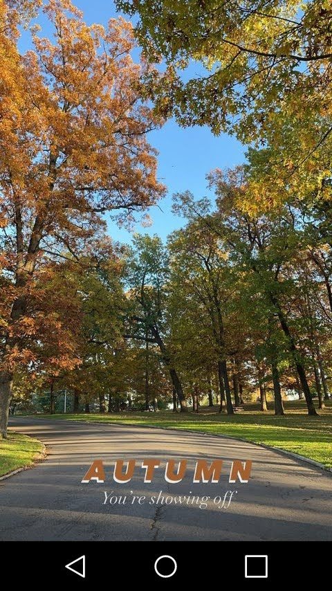Rochelle_QT's tweet photo. 🍁 #MinnesotaColors #MNFall #AutumnFalls 🍁🍂🌿🌾 #Love 💕 https://t.co/RWEHCfxqQj