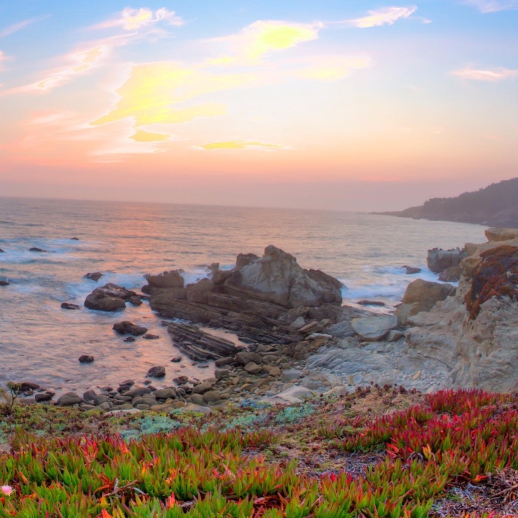 sonoma's tweet photo. Currently: Dreaming of the Sonoma Coast. ⁠
⁠
⁠
⁠
📷 @boe_magazine #sonomacoast #pacificocean #oceanviews #coastal #visitsonona #california #sonoma #winecountry #sonomacounty #visitca #visitcalifornia #coastalhike #sonomahike #sonomahiking https://t.co/zuFk7fV99B https://t.co/JSRMSE2pXB